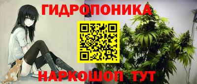 молекула духа Заволжье