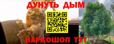 скорость Заводоуковск