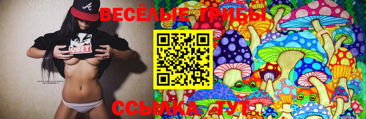 Галлюциногенные грибы GOLDEN TEACHER Гулькевичи